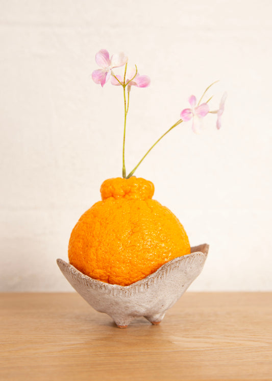 HOME SUNA FLUTED SMALL FOOTED BOWL