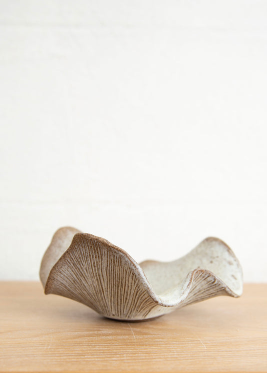 MUSHROOM SMALL BROWN SIDE DISH